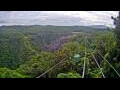 Webcam Kuranda