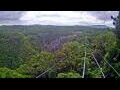 Webcam Kuranda