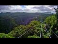 Webcam Kuranda