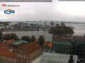 Webcam Blæksprutte
