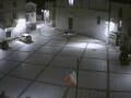 Webcam Pizzoferrato