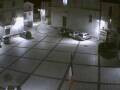 Webcam Pizzoferrato
