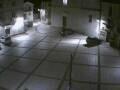 Webcam Pizzoferrato