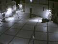 Webcam Pizzoferrato