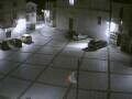 Webcam Pizzoferrato