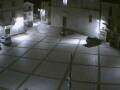 Webcam Pizzoferrato