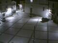 Webcam Pizzoferrato