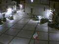 Webcam Pizzoferrato