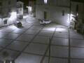 Webcam Pizzoferrato