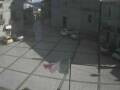 Webcam Pizzoferrato