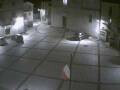 Webcam Pizzoferrato