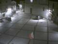 Webcam Pizzoferrato