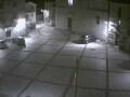 Webcam Pizzoferrato