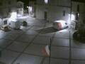 Webcam Pizzoferrato
