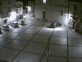 Webcam Pizzoferrato
