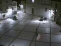 Webcam Pizzoferrato