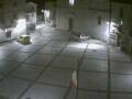 Webcam Pizzoferrato