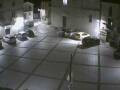 Webcam Pizzoferrato