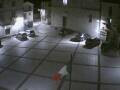 Webcam Pizzoferrato