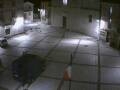 Webcam Pizzoferrato