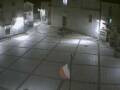 Webcam Pizzoferrato