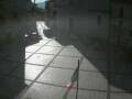 Webcam Pizzoferrato