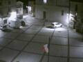 Webcam Pizzoferrato