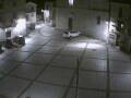 Webcam Pizzoferrato