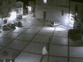 Webcam Pizzoferrato