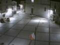 Webcam Pizzoferrato