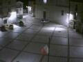Webcam Pizzoferrato