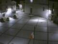 Webcam Pizzoferrato