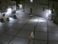 Webcam Pizzoferrato