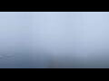 Webcam Capo Nord
