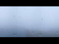 Webcam North Cape