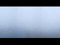 Webcam Capo Nord