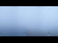 Webcam North Cape