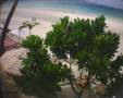 Webcam Boracay