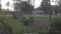 Webcam Athelstane, Wisconsin