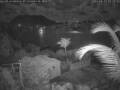 Webcam Quart-A-Nancy Point