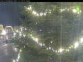 Webcam Esens