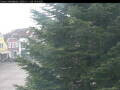 Webcam Esens