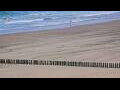 Webcam Cadzand-Bad