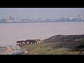 Webcam Cadzand-Bad