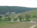 Webcam Neumagen-Dhron