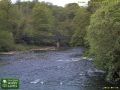 Webcam Crossford