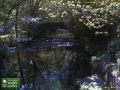Webcam Two Waters Foot: River Fowey bei Two Waters Foot