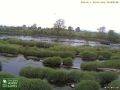 Webcam Stirling
