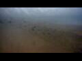 Webcam De Panne