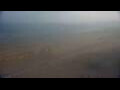 Webcam De Panne
